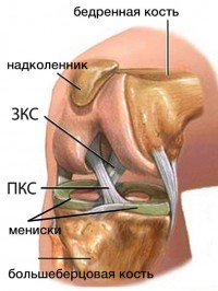 Артроскопия коленного сустава 